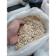 OBRAL jagung putih pipil kering 1kg panenan baru