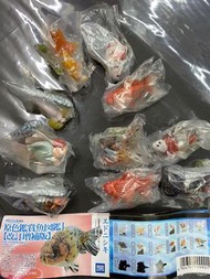 原色鑑賞魚圖鑑扭蛋