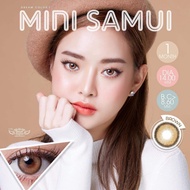 คอนแทคเลนส์ Dream Color1 Mini Samui(Gray,Brown) ค่าสายตา 0.00 ถึง -10.00