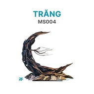 Moon Layout used to decorate fish tanks sized 30x20x20cm, cubic20 mini tank (Ms004)