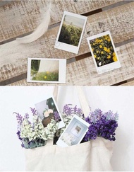 LY Fujifilm Plain Film + Stickers ( 20 40 60 / 80 Sheets) For Fuji Instax 11 8 9 Camera Mini K Prin