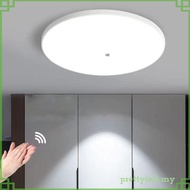 [PrettyiaedMY] Motion Ceiling Light Lighting Fixture Creative Decor Indoor Light for Porch Entryway Home