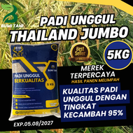 Benih Padi THAILAND JUMBO 5kg Padi Unggul Berkualitas