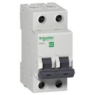 Schneider Easy9 MCB 2P 32A C 6000A 230V