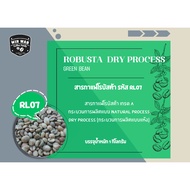 สารกาแฟโรบัสต้า รหัส RL07 Robusta Dry Process เกรด Aแพ็ค 1 Kg รหัส RL07