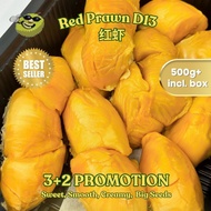 SYR | 3+2!! | Red Prawn D13 Durian (~500g/Box)