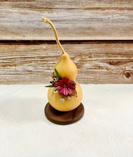 天然大葫蘆擺飾/乾燥果實/小雛菊乾燥花/植物