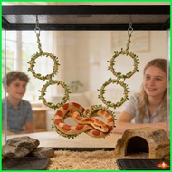 Snake Climbing Rings Flexible Realistic Perch Rope Reptiletank Cage Decor Habitat Accessories for Le