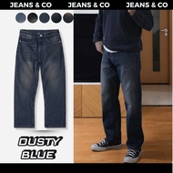 DUSTY BLUE JEANS Men's Jeans - JEANS & CO -- REGULAR BLUE Jeans