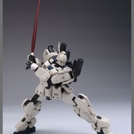 國產 ez8 陸戰型 Easy eight HG 1/144 魔改