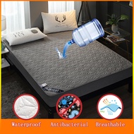 Waterproof Mattress Protector Queen/King Bedsheet Urine Bed Sheet Pads Anti Dust Mite Cover Mattress