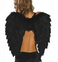 Black Feather Wings Sexy Devil Fallen Angel Fairy Halloween Costume