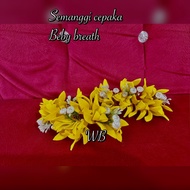 Babybreathe clover / sponge clover