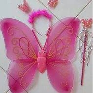 Fairy Wings Costume