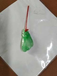 緬甸翡翠(迷你佛手瓜)