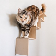 Cat Ladder Wall/ Tanggga Cat Toy