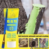 LEMONTRELQAT Grafting Tree Sealer, Smear Agent 100g Tree Wound Sealant,  with Brush Tree Repair Bons