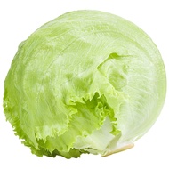 สลัดแก้วไทย กก.ละ