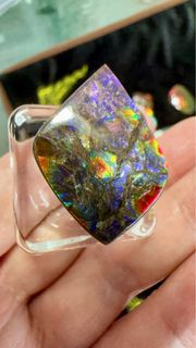 加拿大🇨🇦繁花斑彩螺石