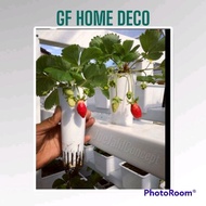 15.5cm Long hydroponic net pot. Diameter 6.5cm hydroponic pot