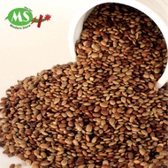 Horse Gram Dal / kollu india