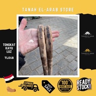 🔥Ready Stock 🔥 Tongkat Kayu Luz Original Import Mesir egypt TL018 kukuh berkualiti