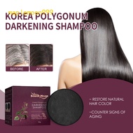 Korea Polygonum Darkening Shampoo Bar, Organic Grey Reverse Shampoo Bar