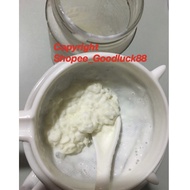 SG in-stock :Organic Live active Milk Kefir Grains to make your own yogurt