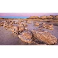 Bumper myvi icon lagi best