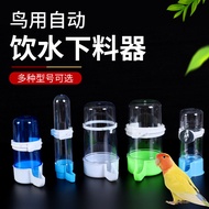 Botol air untuk ayam puyuh, dispenser air untuk burung, dispenser air automatik untuk ayam puyuh, bo