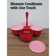 Tupperware Blossom Condimate w/One Touch Seal 250ml each (1) - 25.4cm(L) x 25.4cm(W) x 7.2cm(H)  Retail Price S$27.80