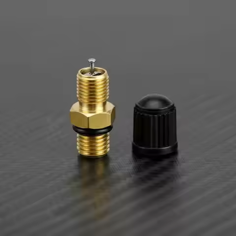 High Quality M8x1 Brass Tire Valve Stem for Car Motorcycle Bicycle Secure Fit Air Valves with Tire C