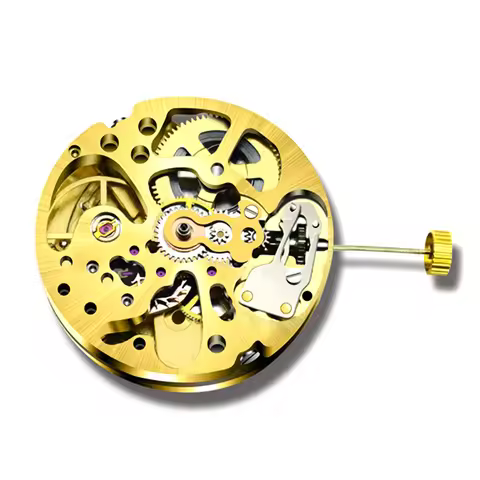 【Ship Within Gold Skeleton 2004 Movement Ordinary Pendulum Adjustment Radiation Pattern Fully Automa