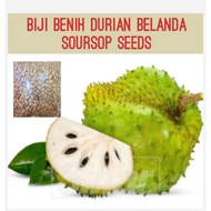 100pcs biji benih durian belanda baka buah besar / soursop seeds