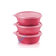 Tupperware Modular Bowl 630ml (Tupperware Container)