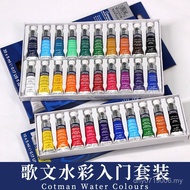 Swinsor Newton Color Portrait Small Stick Watercolor 205 Colors ML Entry Pigment Landscape Packing 1