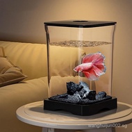 Small Fish Tank Set Desktop Fish Tank Mini Aquarium LED Light Decoration Small Aquarium Desktop Room