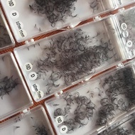 Eyelash extension 3D/5D/10D