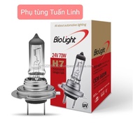 H7, 24V 70W. Korean car light bulb Biolight H7, 24V 70W.