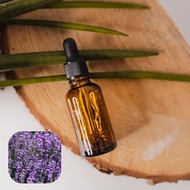 【香間小路】天然精油 真正薰衣草精油 Lavender ( 贈送甜橙精油)