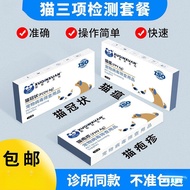 Cat Test Paper Bow Insect Test