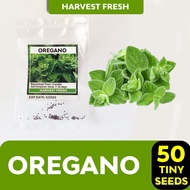 Herbs &amp; Vegetable Seeds Basil Sage Rosemary Thyme Oregano Arugula Parsley Coriander Celery Kinchay S