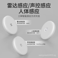 Induction Ceiling Light Aisle Light Corridor Corridor Light Infrared Human Body Radar Sensor Light I