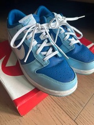 Nike Dunk Low 藍色童鞋