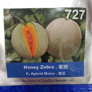 10 seeds Rock Melon Honey Zebra F1 Hybrid Melon 727 Rock Melon