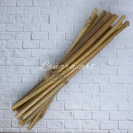 Bamboo Plant Stakes Whole Bamboo Plant Stakes Bamboo Plant Stakes 20 Cm