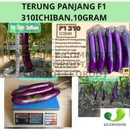 BIJI BENIH 10GRAM LECKAT F1 HYBRID TERUNG PANJANG EGGPLANT GIANT NAGA 332 SEED BENIH
