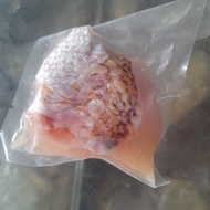 MERAH Amisan red grouper grouper