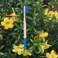 The Hive Biodegradable Bamboo Color Toothbrush (1pcs)