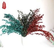 Immortal Fine Leaves Eucalyptus Nordic Style Immortal Eucalyptus Leaves Beautiful Leaves Eucalyptus 